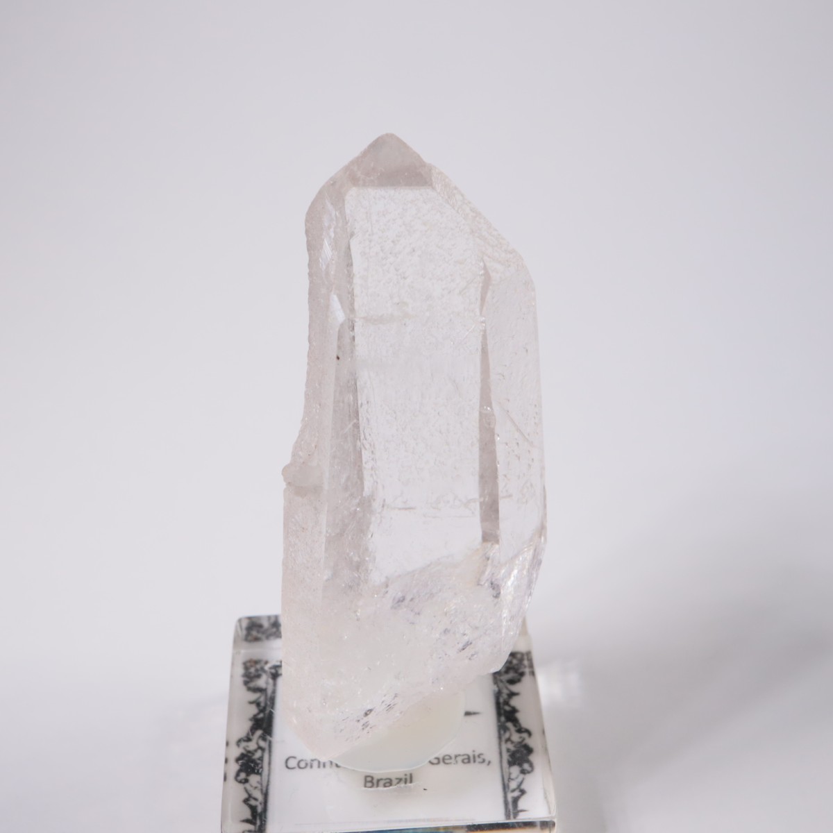 �֥饸�뻺 �徽