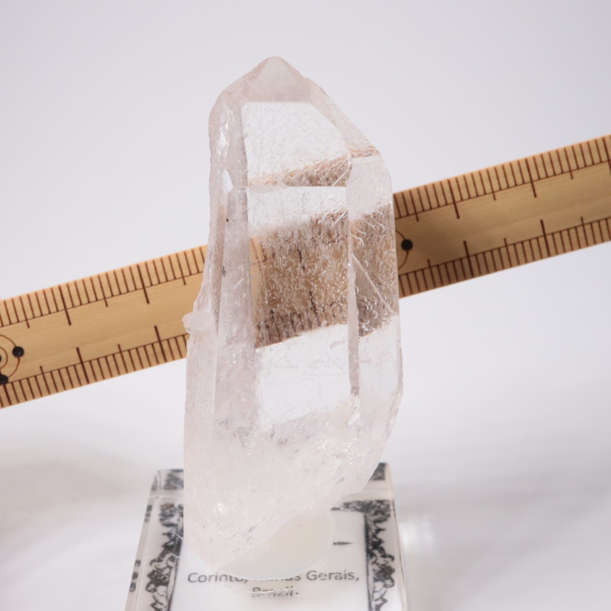 �֥饸�뻺 �徽