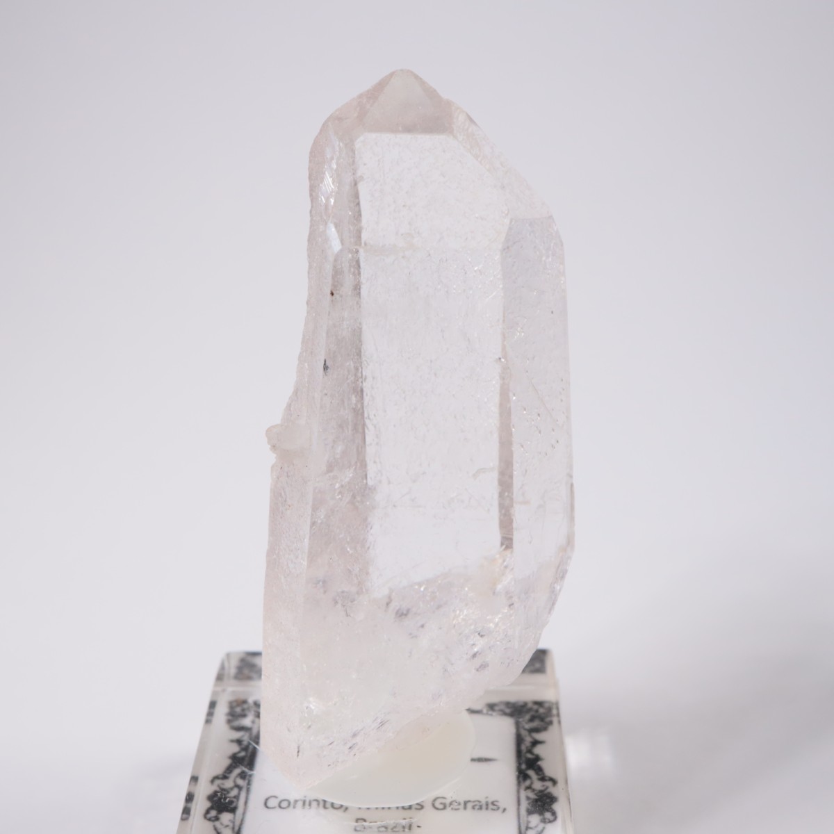 �֥饸�뻺 �徽