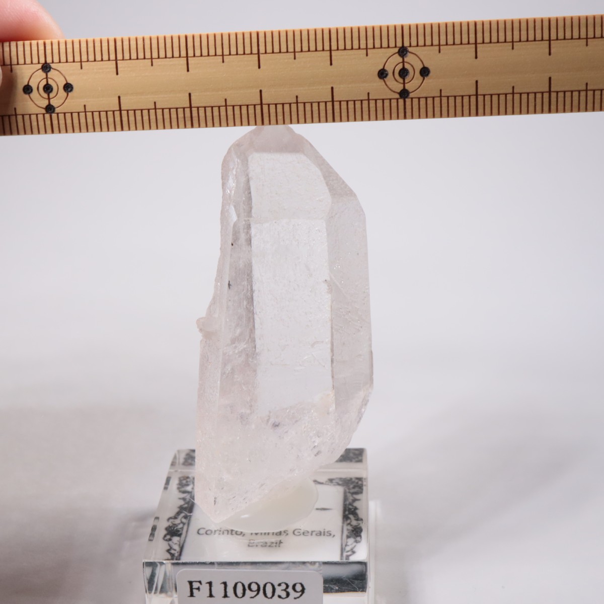 �֥饸�뻺 �徽