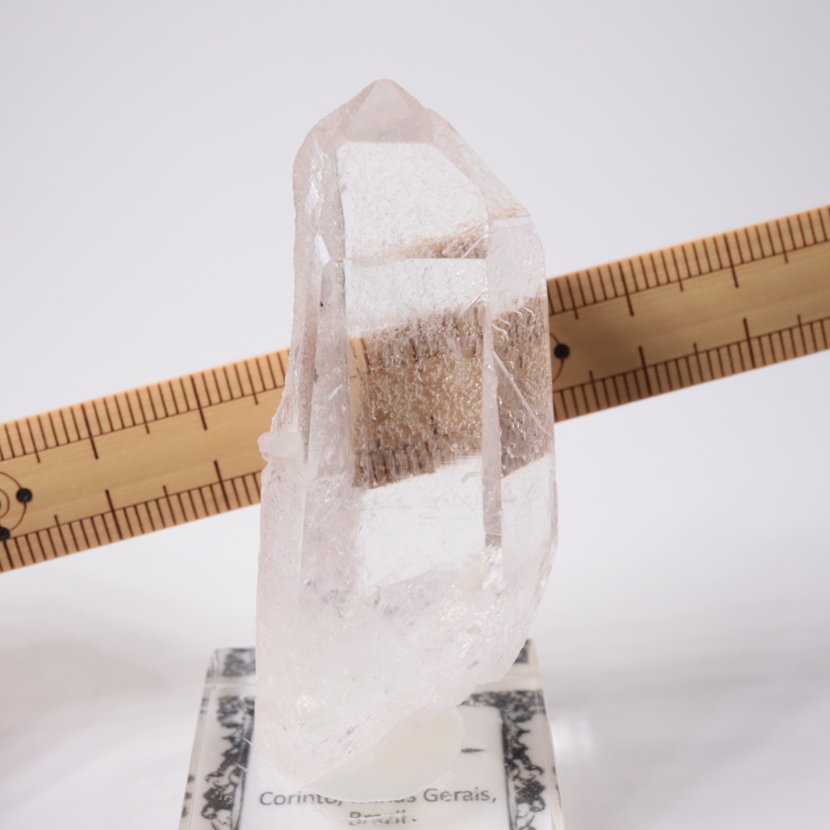 �֥饸�뻺 �徽