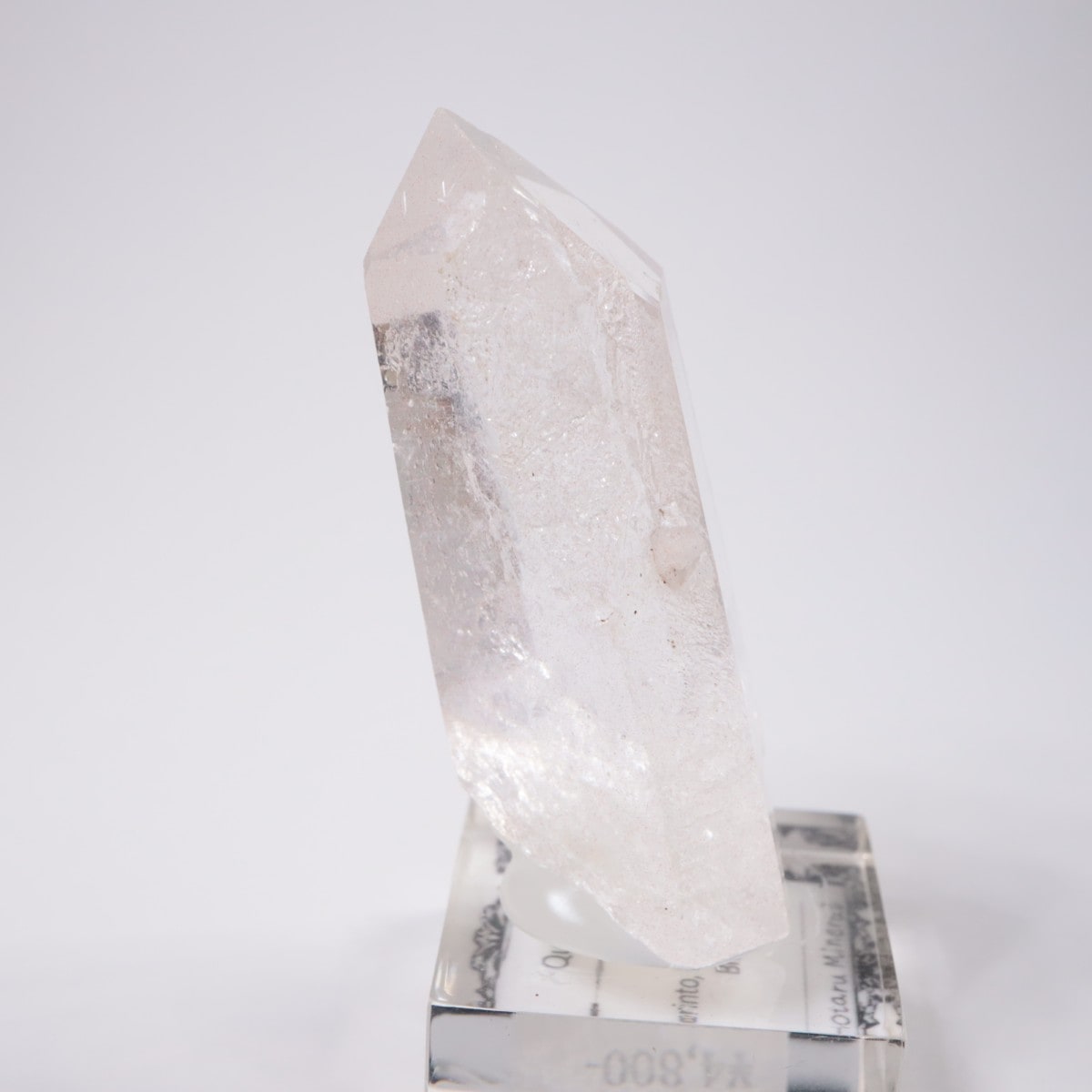 �֥饸�뻺 �徽