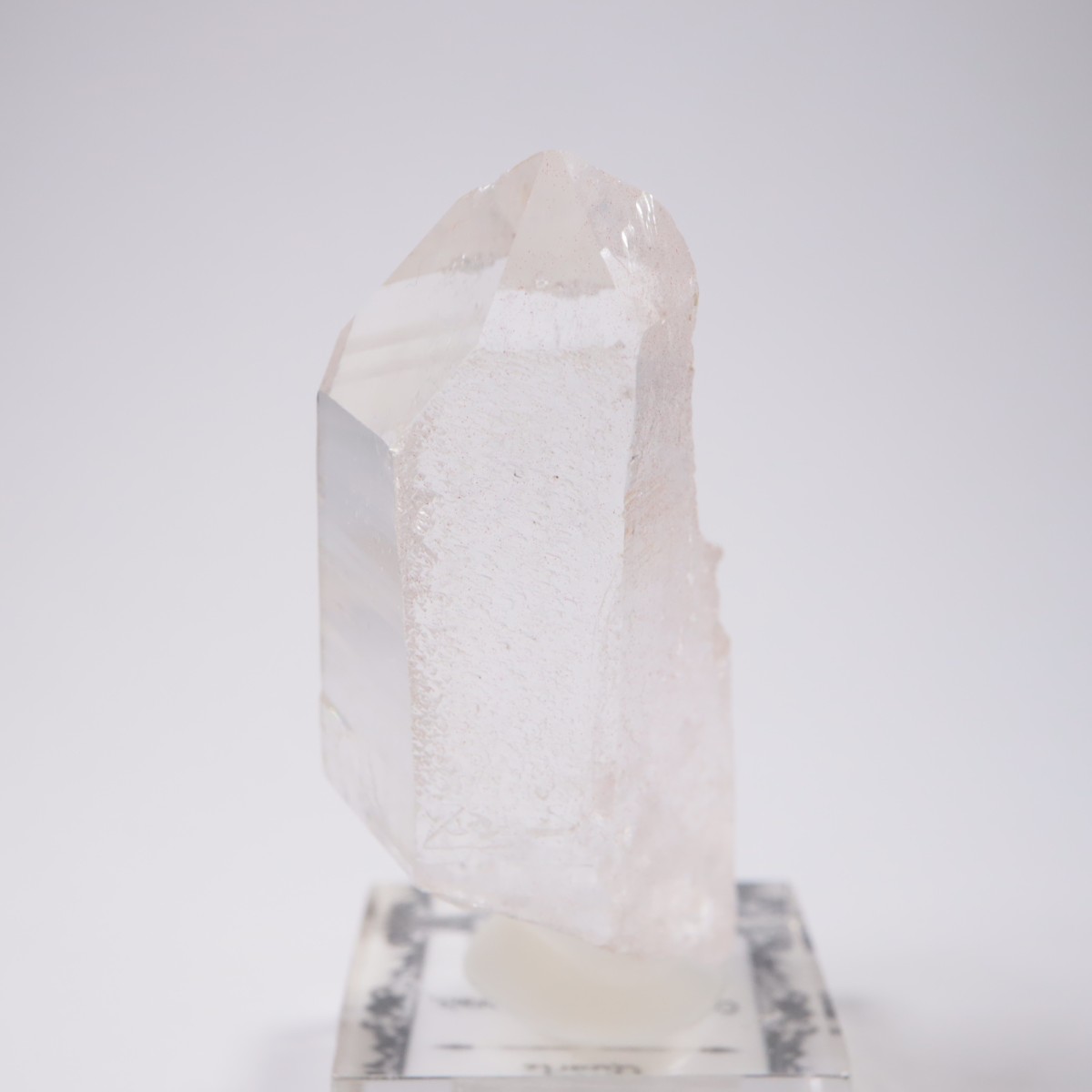 �֥饸�뻺 �徽