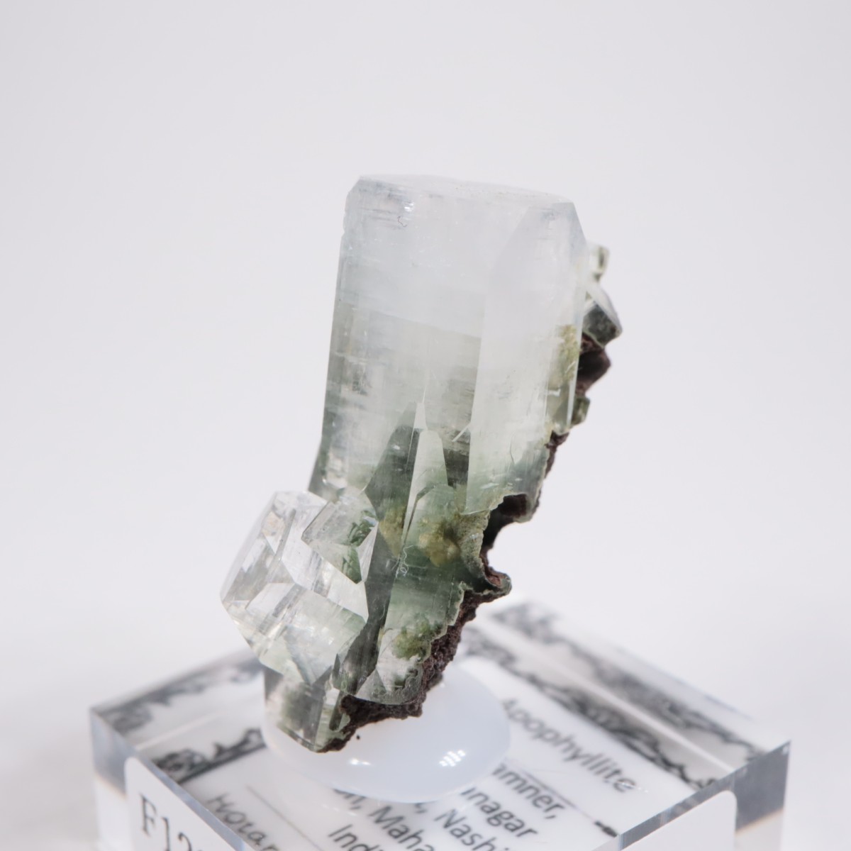 ����ɻ� ���ݥե��饤��