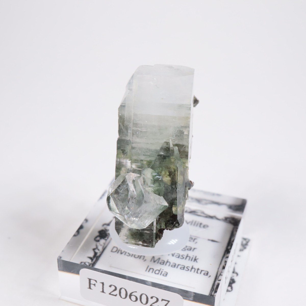 ����ɻ� ���ݥե��饤��