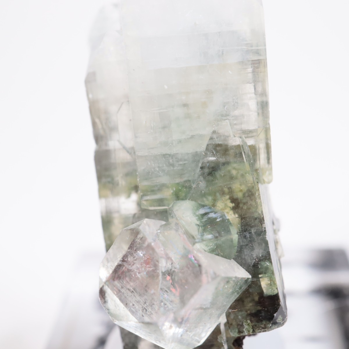 ����ɻ� ���ݥե��饤��