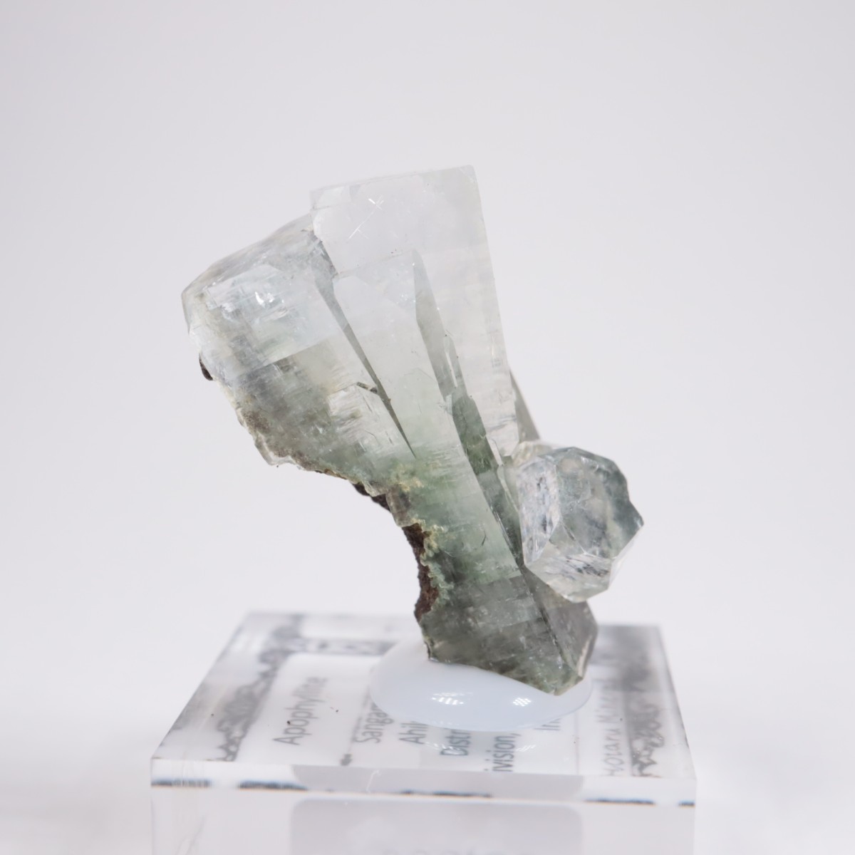 ����ɻ� ���ݥե��饤��