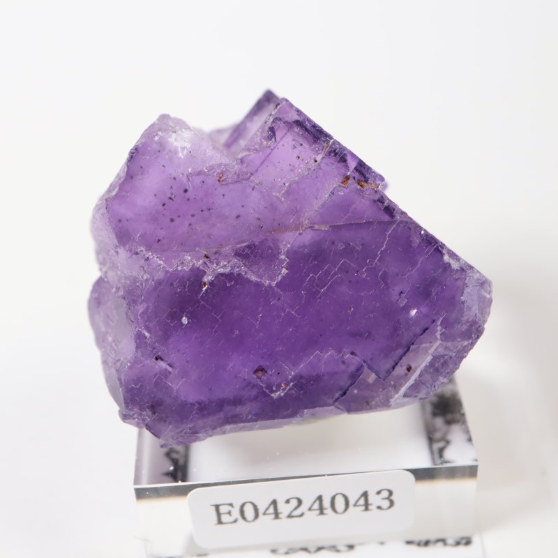 ����Υ������ե����饤��