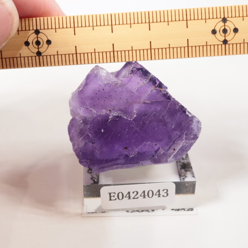 ����Υ������ե����饤��