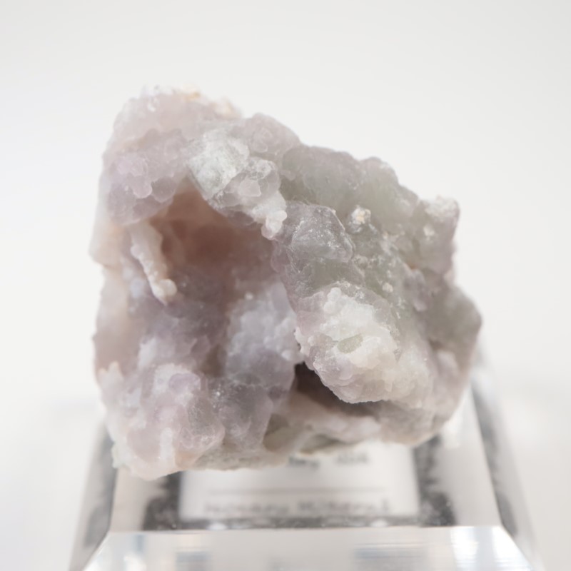 ���꥾�ʽ�������