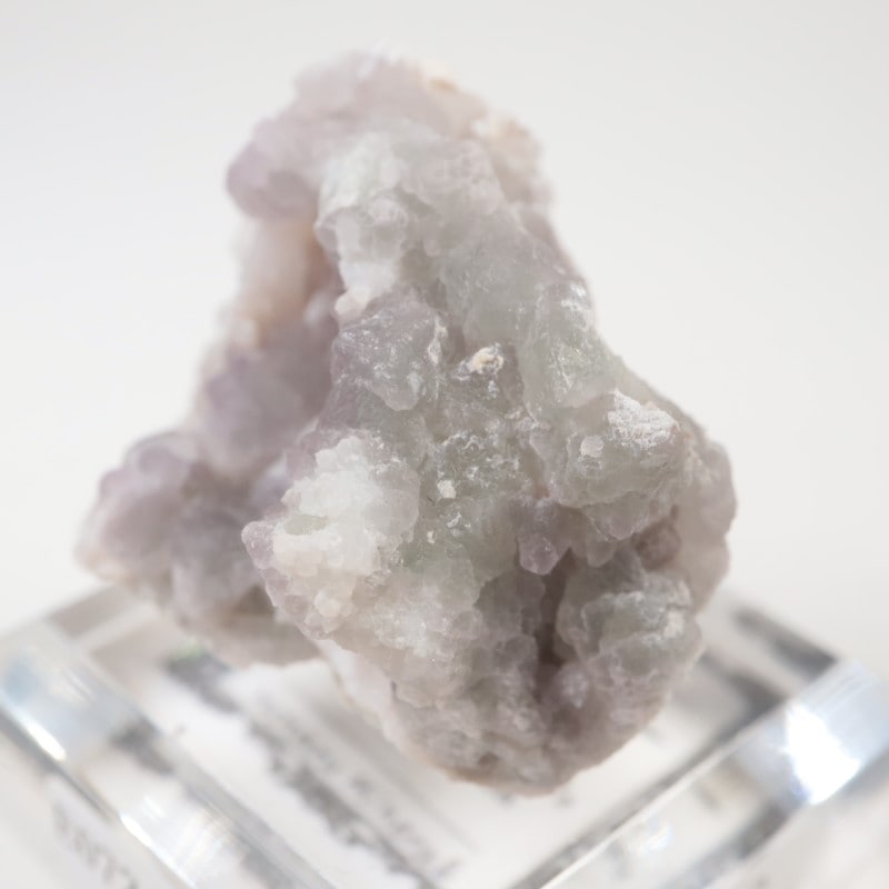 ���꥾�ʽ�������