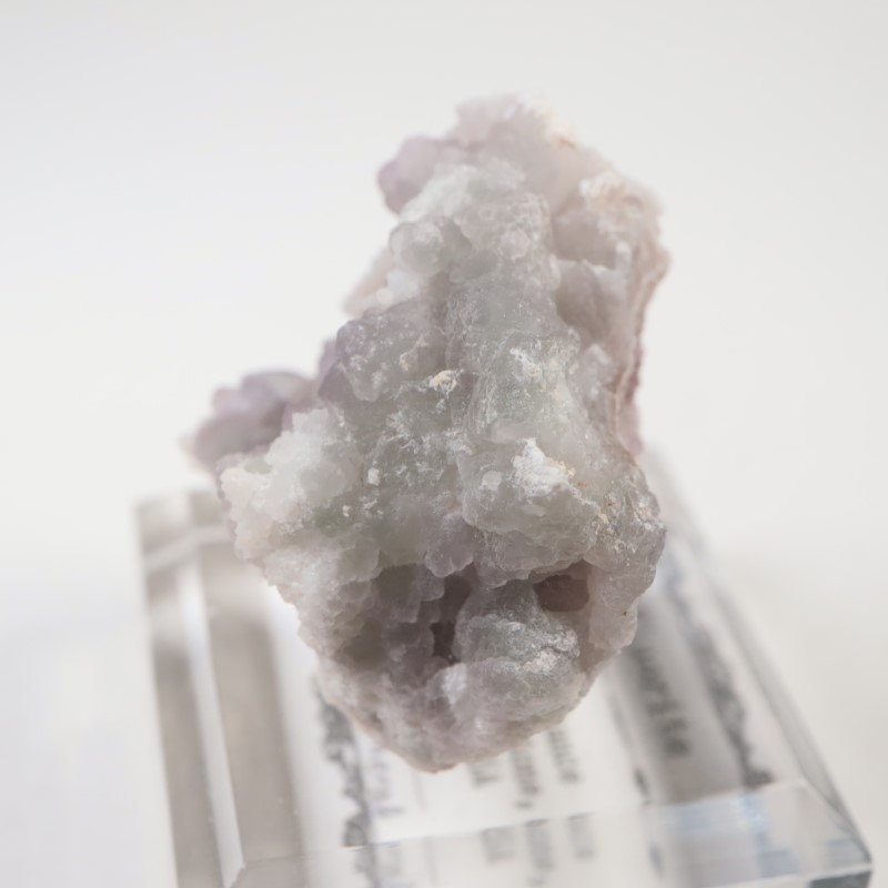 ���꥾�ʽ�������