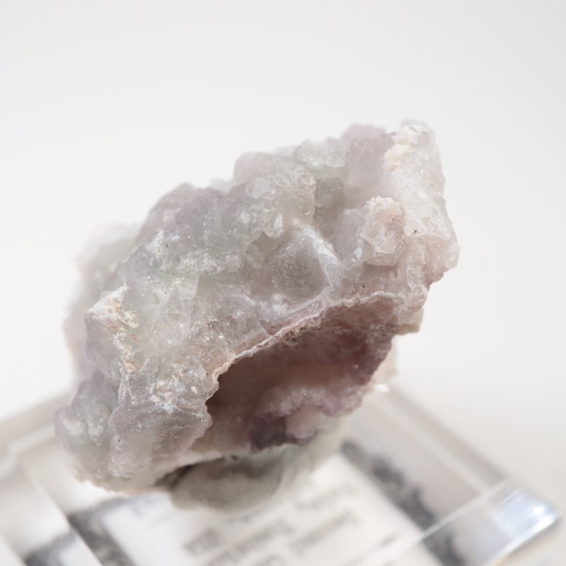 ���꥾�ʽ�������