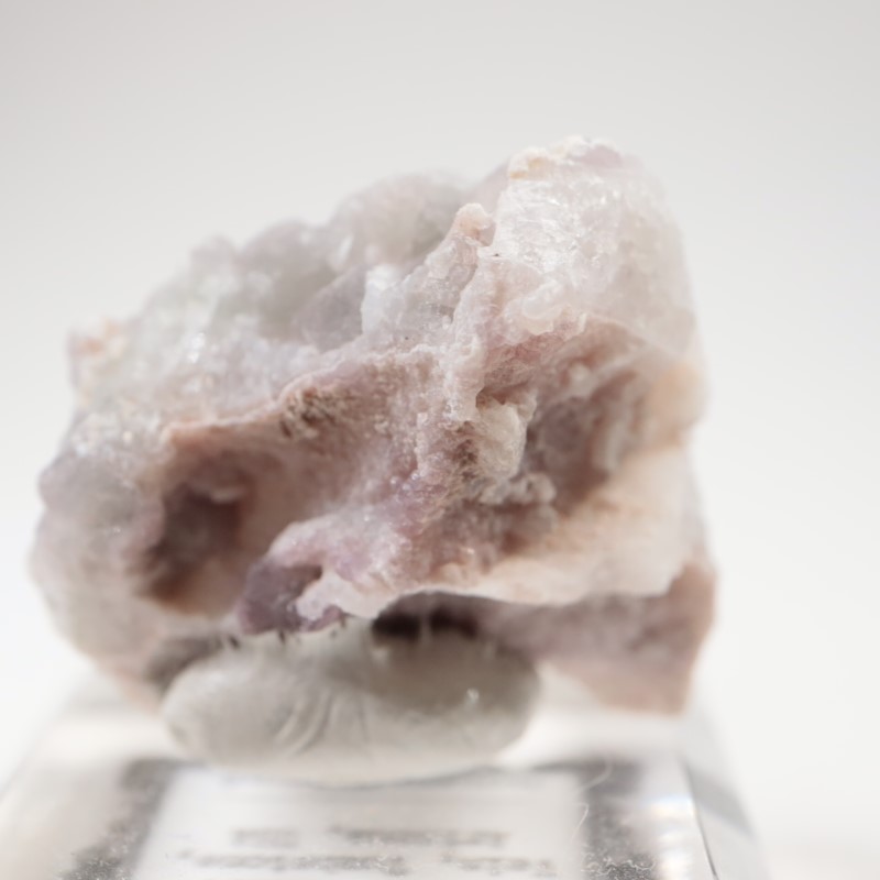 ���꥾�ʽ�������