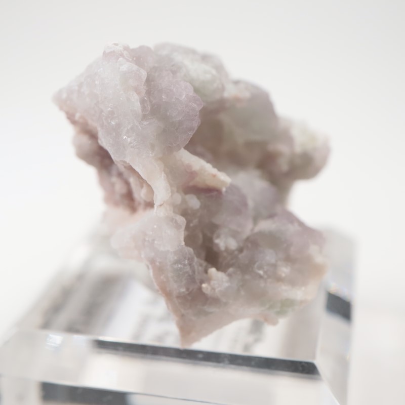 ���꥾�ʽ�������