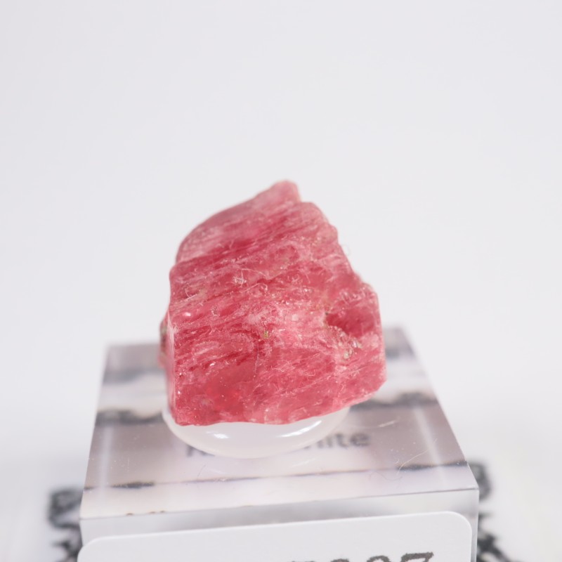 �֥饸�뻺�������ɥʥ���