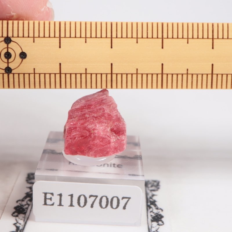 �֥饸�뻺�������ɥʥ���