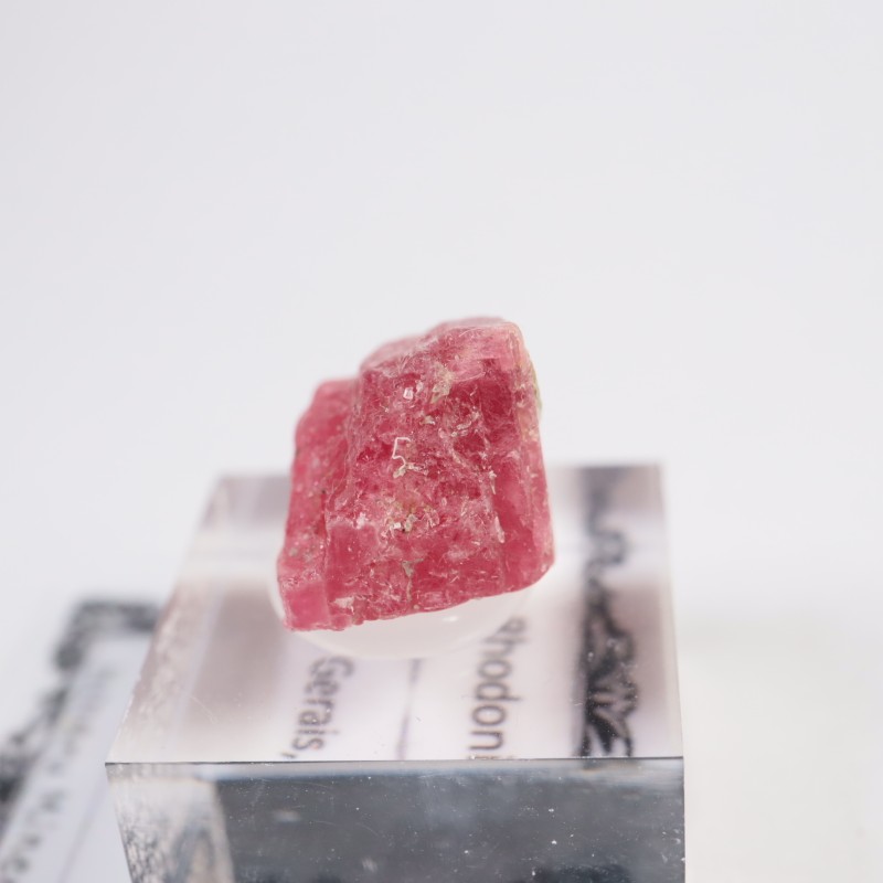 �֥饸�뻺�������ɥʥ���