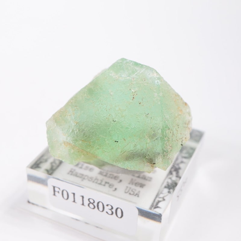 William Wise Mine ե饤