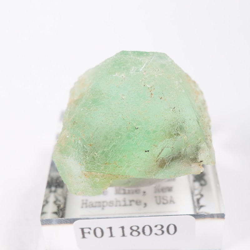 William Wise Mine ե饤