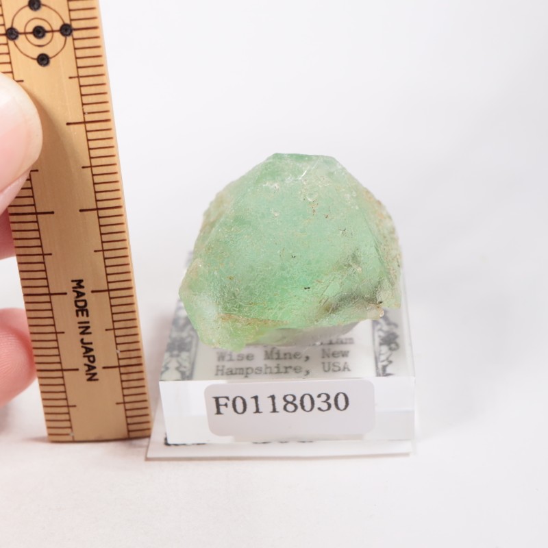 William Wise Mine ե饤