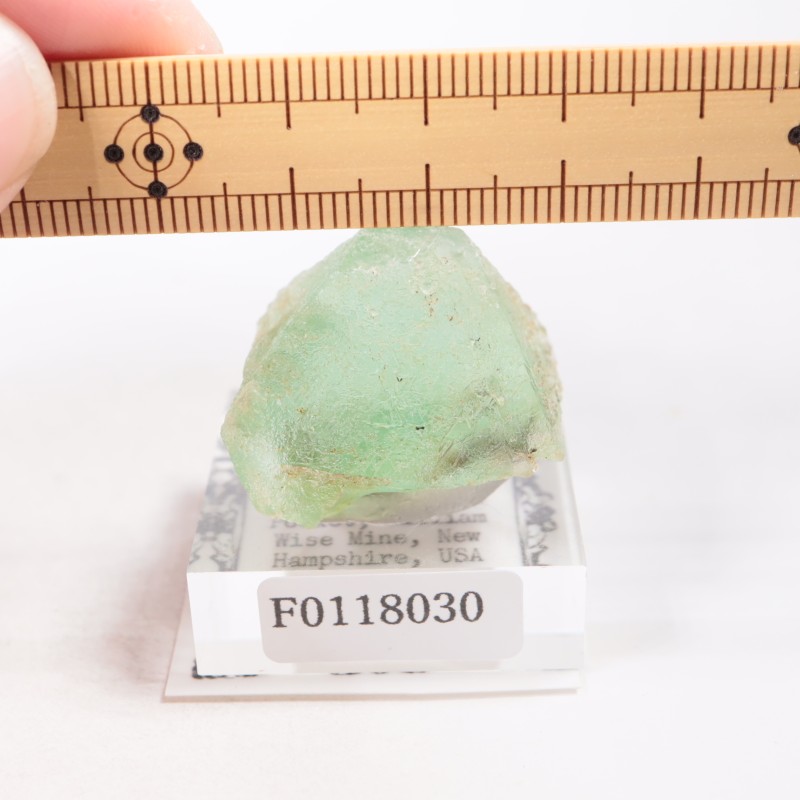 William Wise Mine ե饤