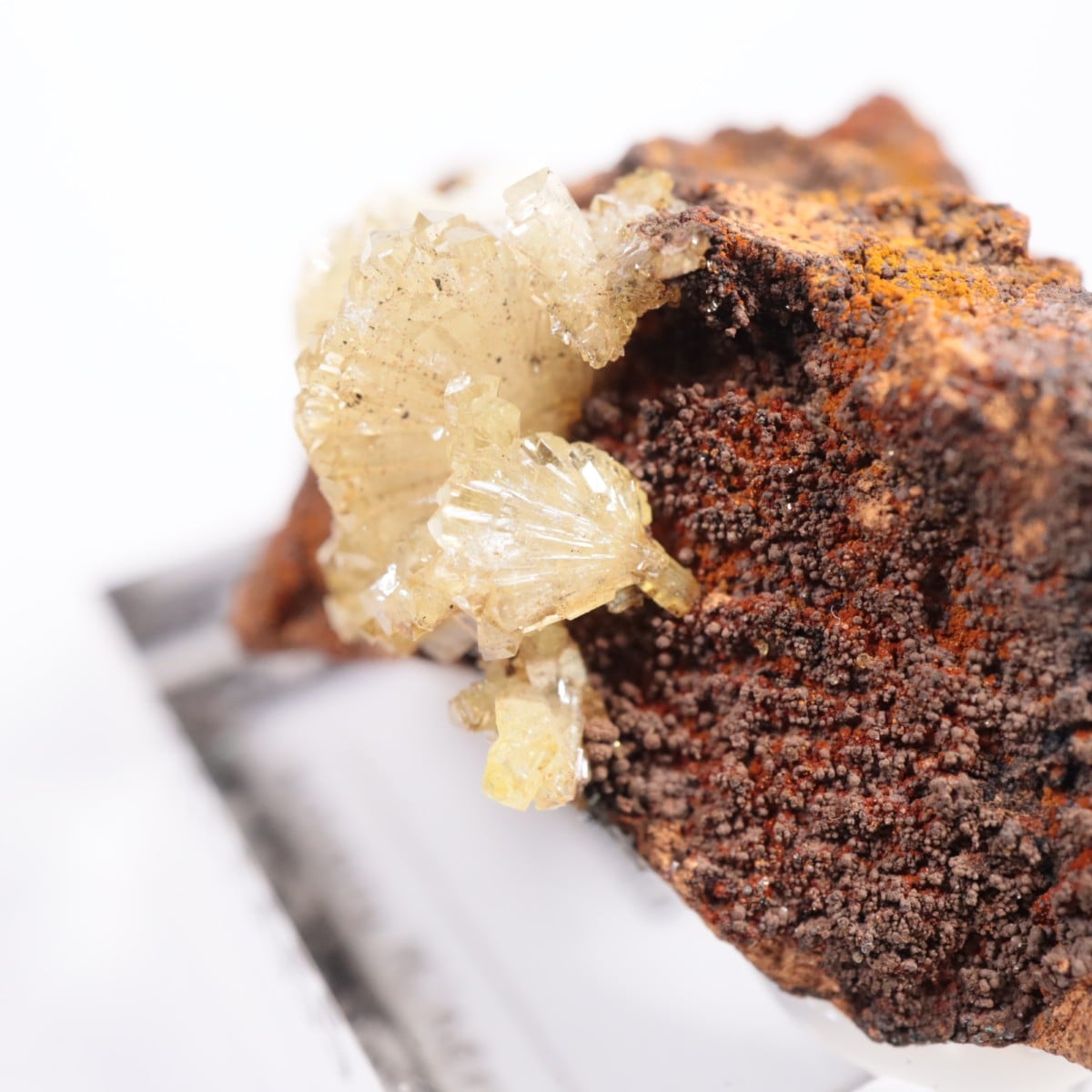 �ᥭ������ �����ޥ���