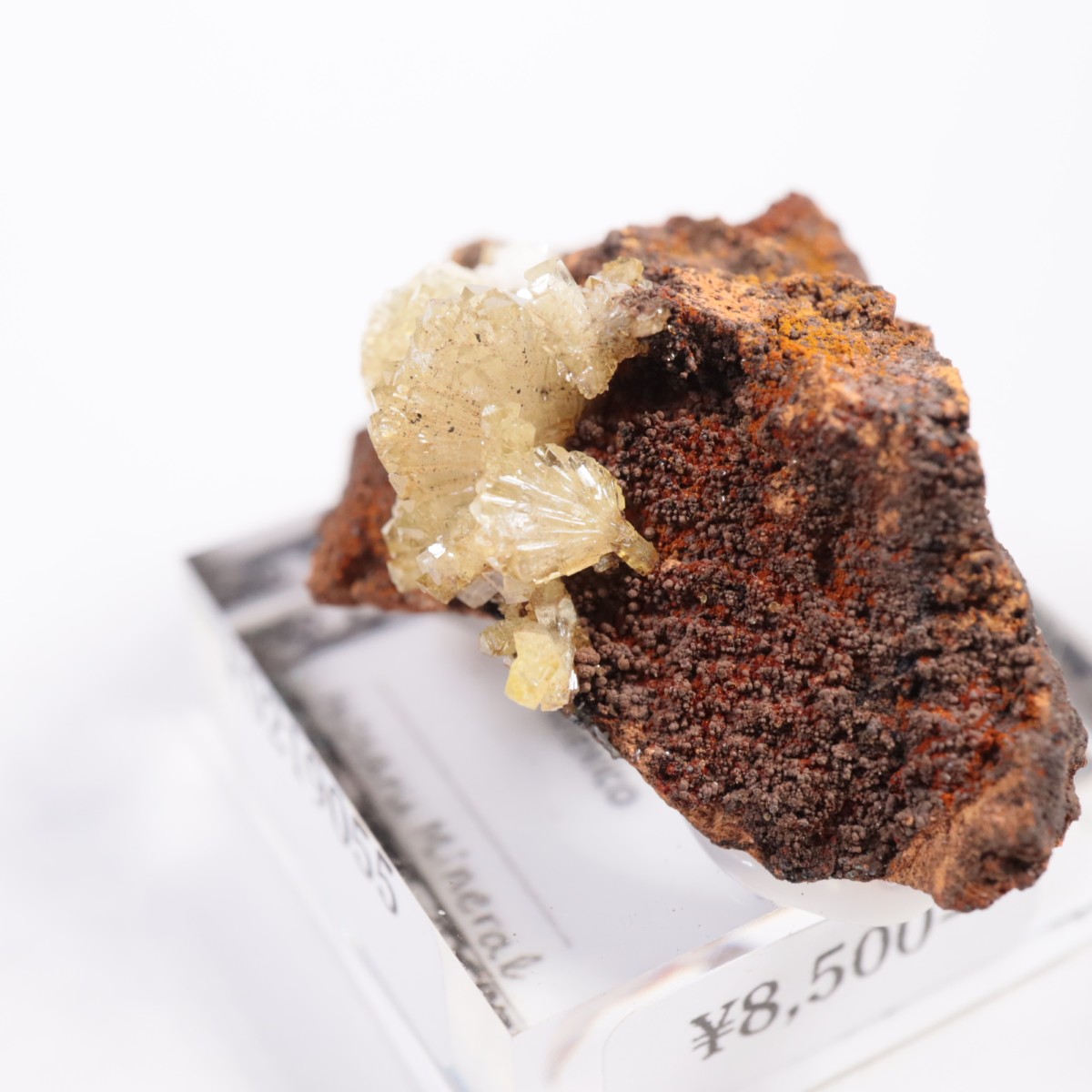 �ᥭ������ �����ޥ���