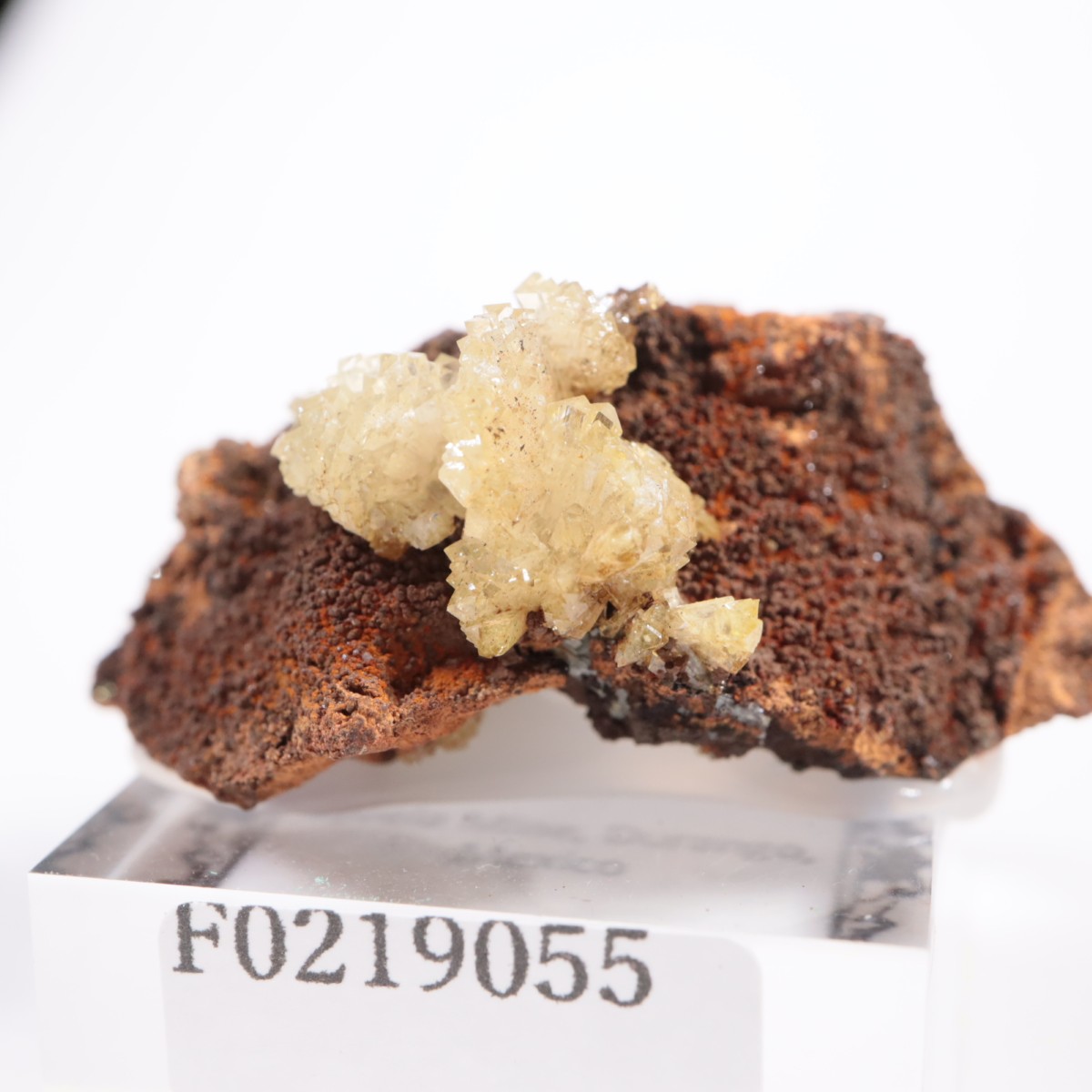 �ᥭ������ �����ޥ���