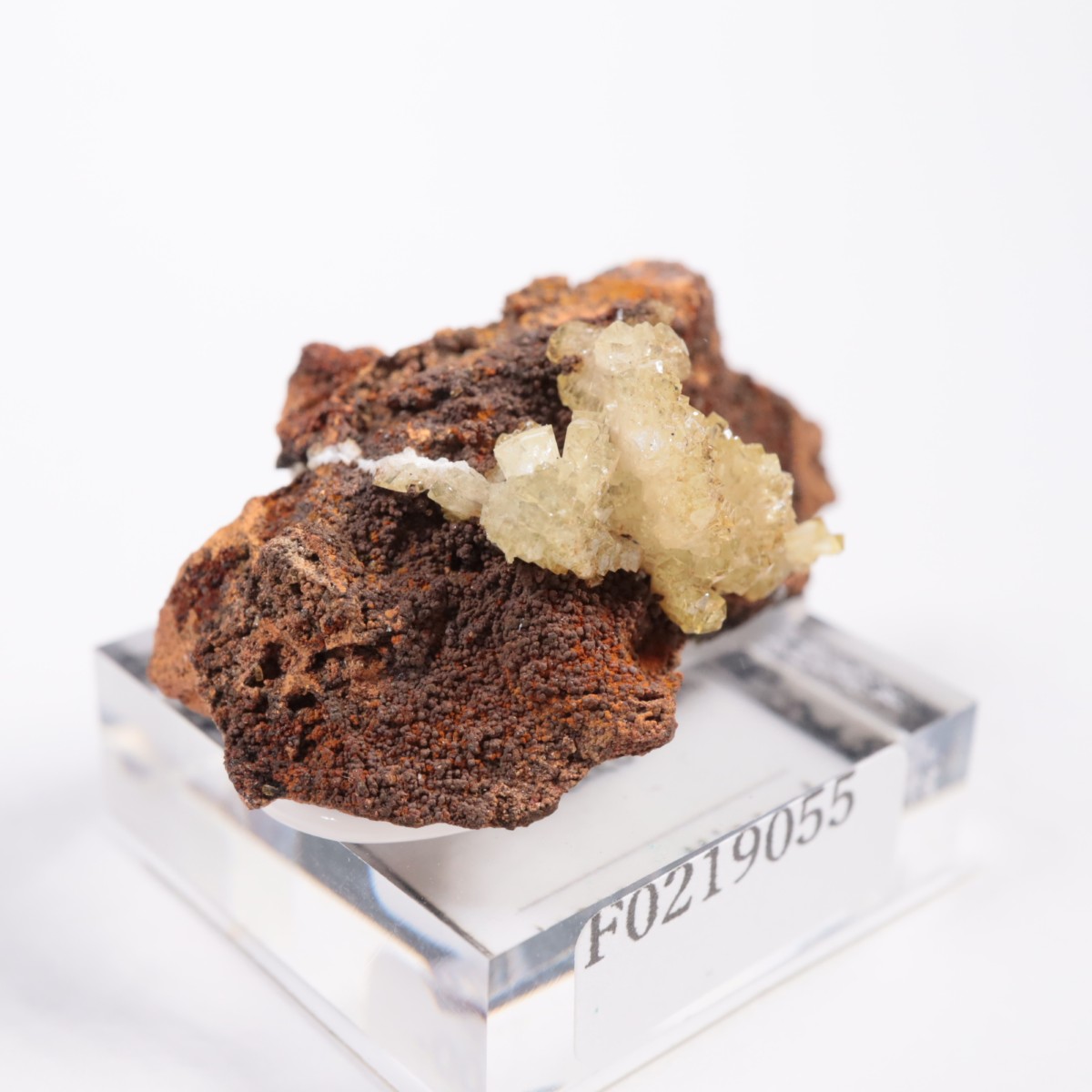 �ᥭ������ �����ޥ���