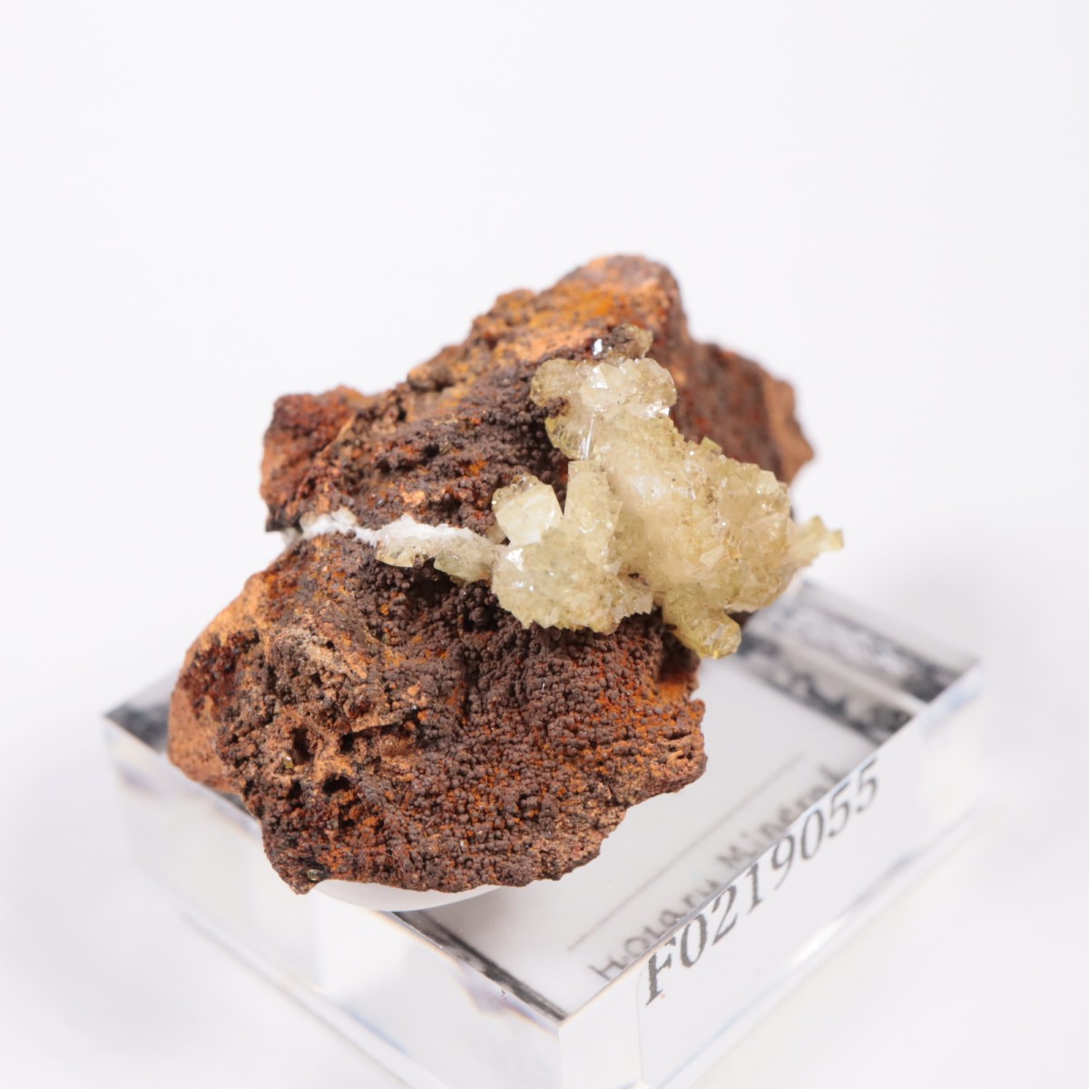 �ᥭ������ �����ޥ���