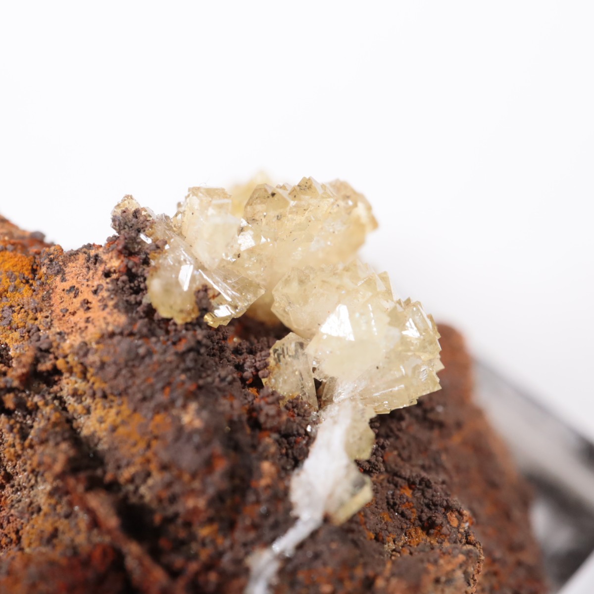 �ᥭ������ �����ޥ���