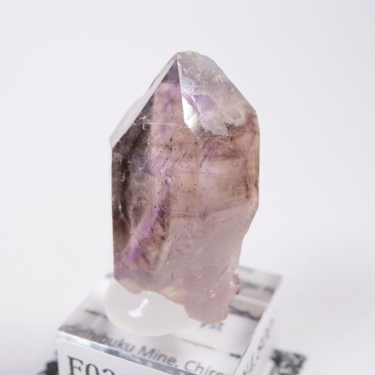 Chibuku�ۻ��� ���᥷����