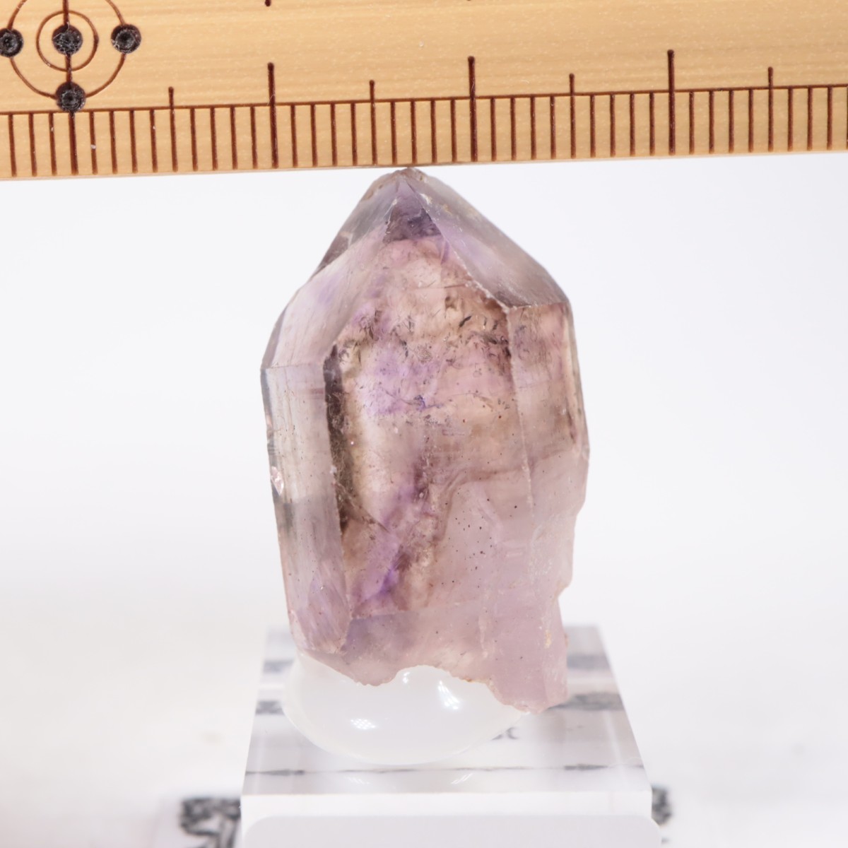 Chibuku�ۻ��� ���᥷����