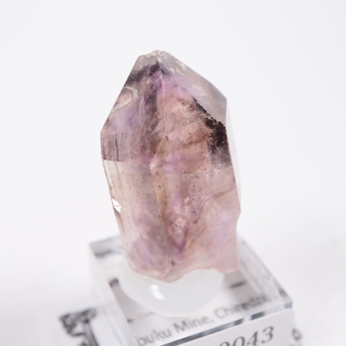 Chibuku�ۻ��� ���᥷����