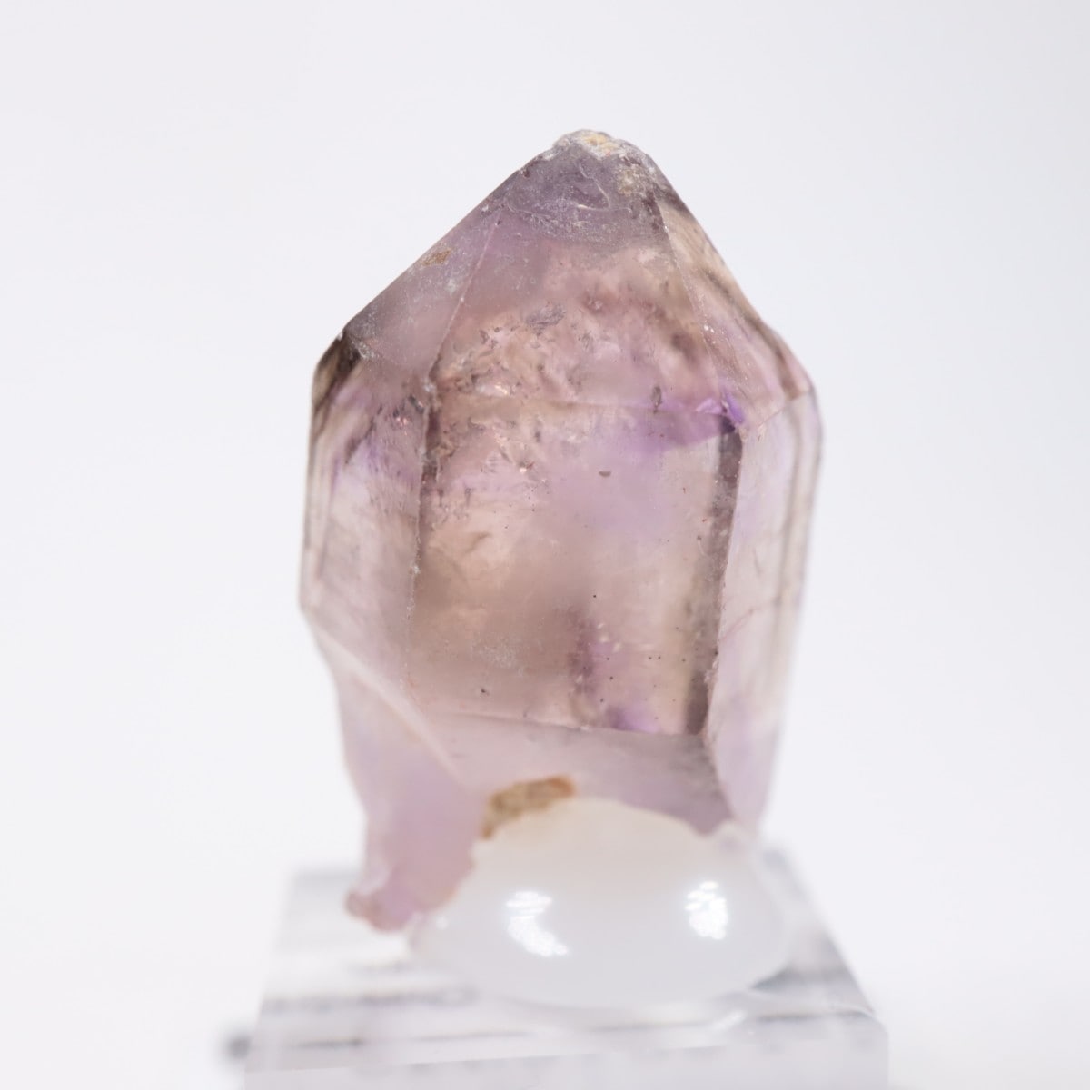 Chibuku�ۻ��� ���᥷����