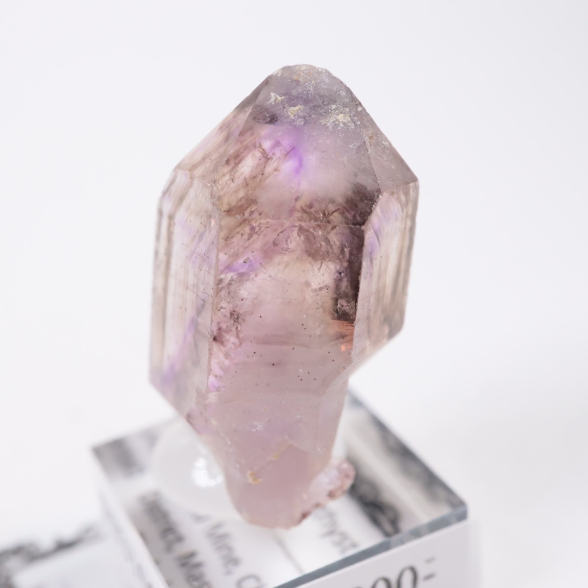 Chibuku�ۻ��� ���᥷����