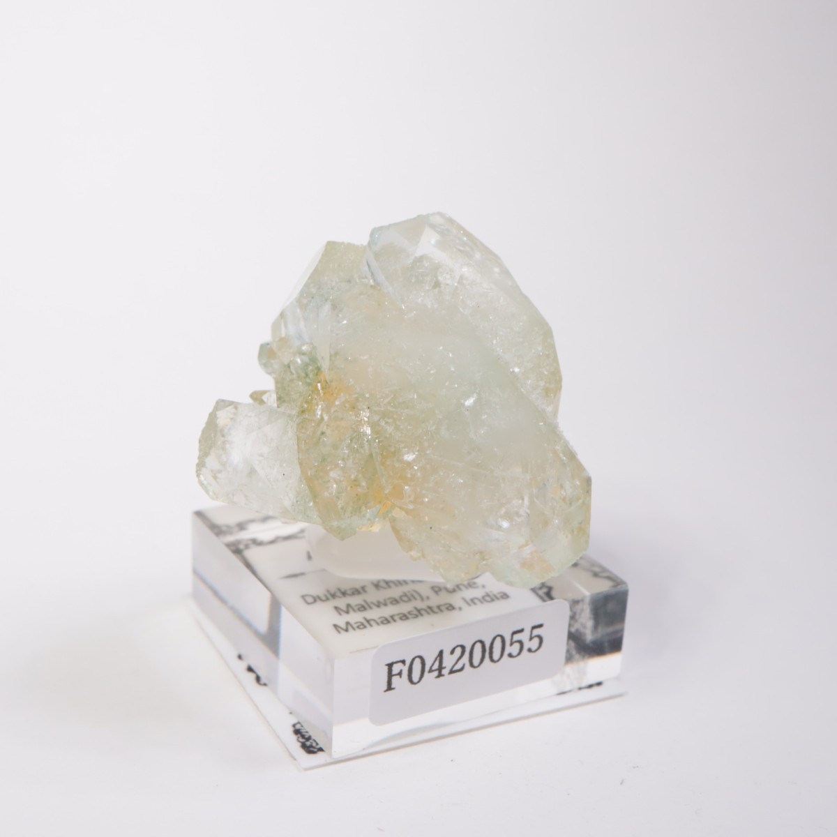 ����ɻ� ���ݥե��饤��