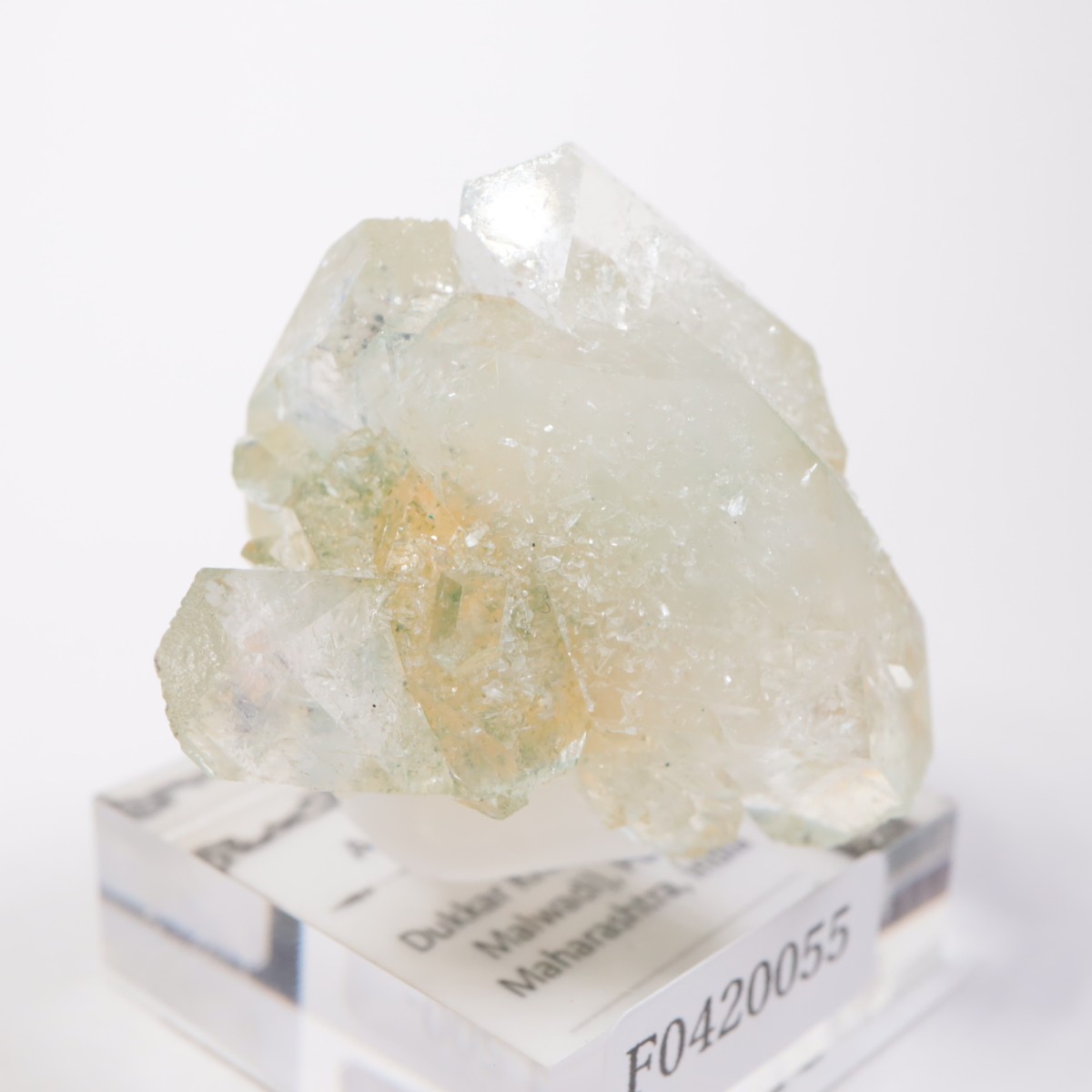 ����ɻ� ���ݥե��饤��