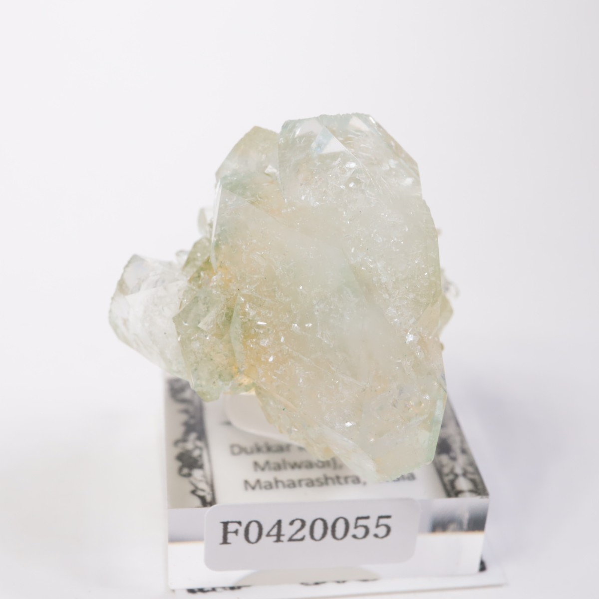 ����ɻ� ���ݥե��饤��