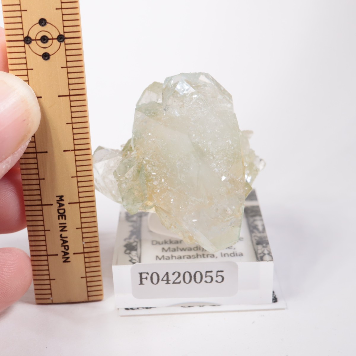 ����ɻ� ���ݥե��饤��