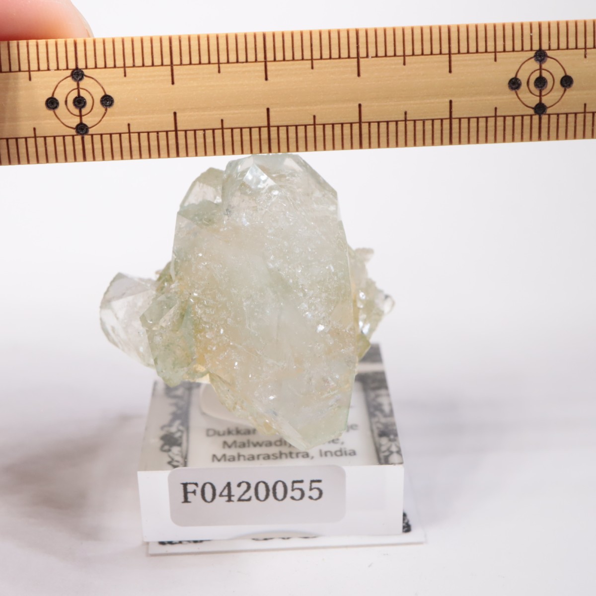 ����ɻ� ���ݥե��饤��