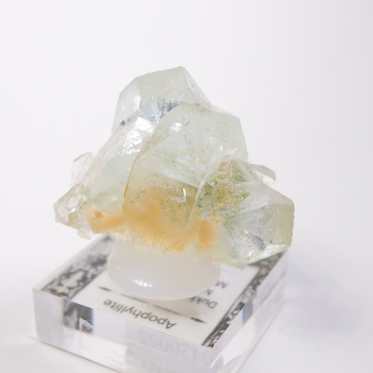 ����ɻ� ���ݥե��饤��