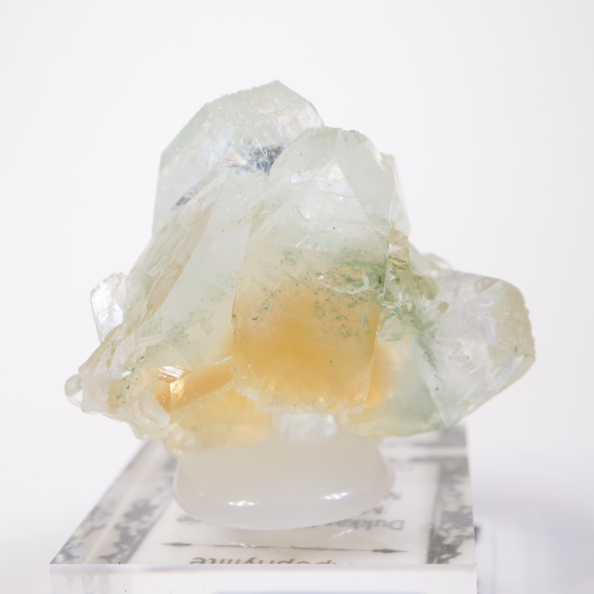 ����ɻ� ���ݥե��饤��