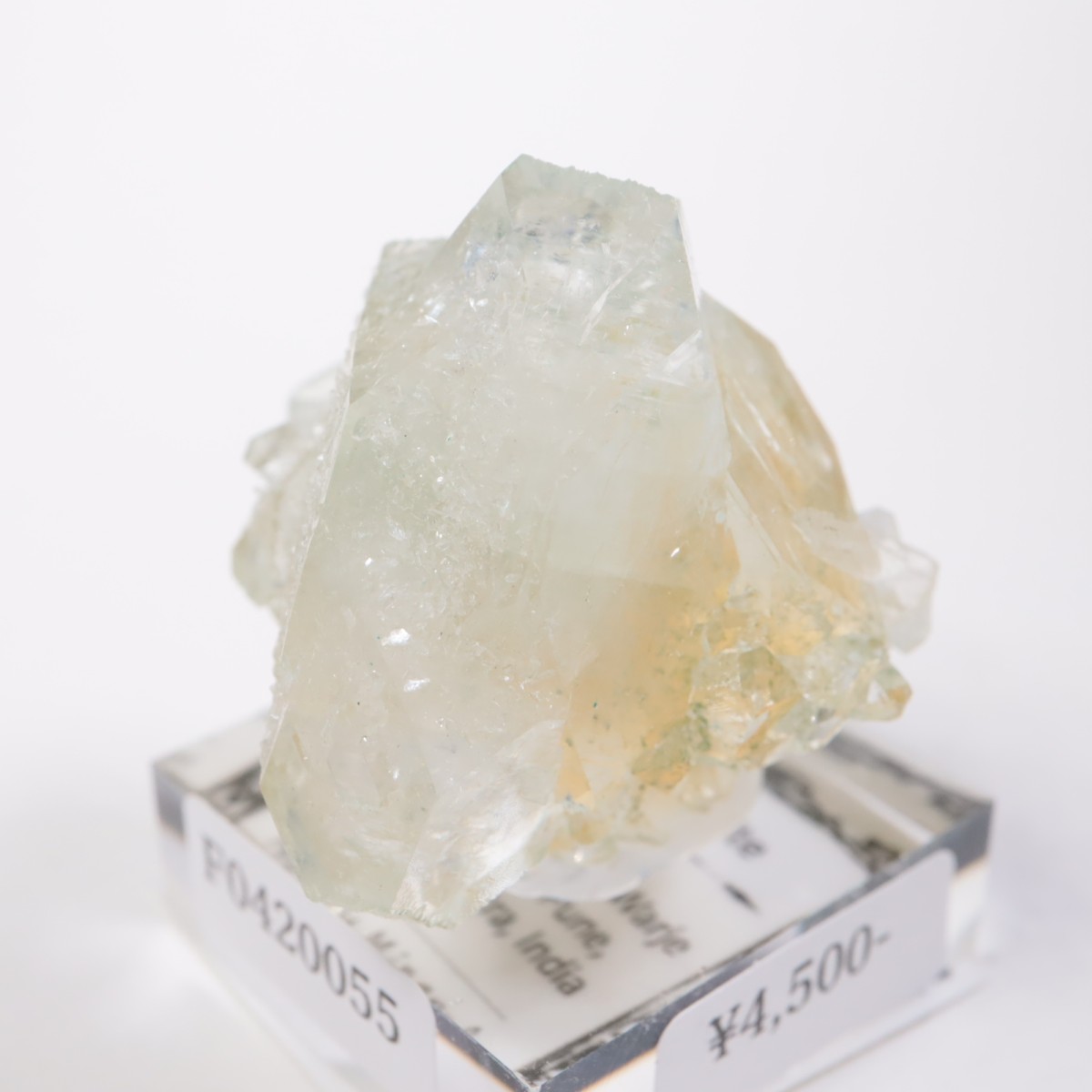 ����ɻ� ���ݥե��饤��