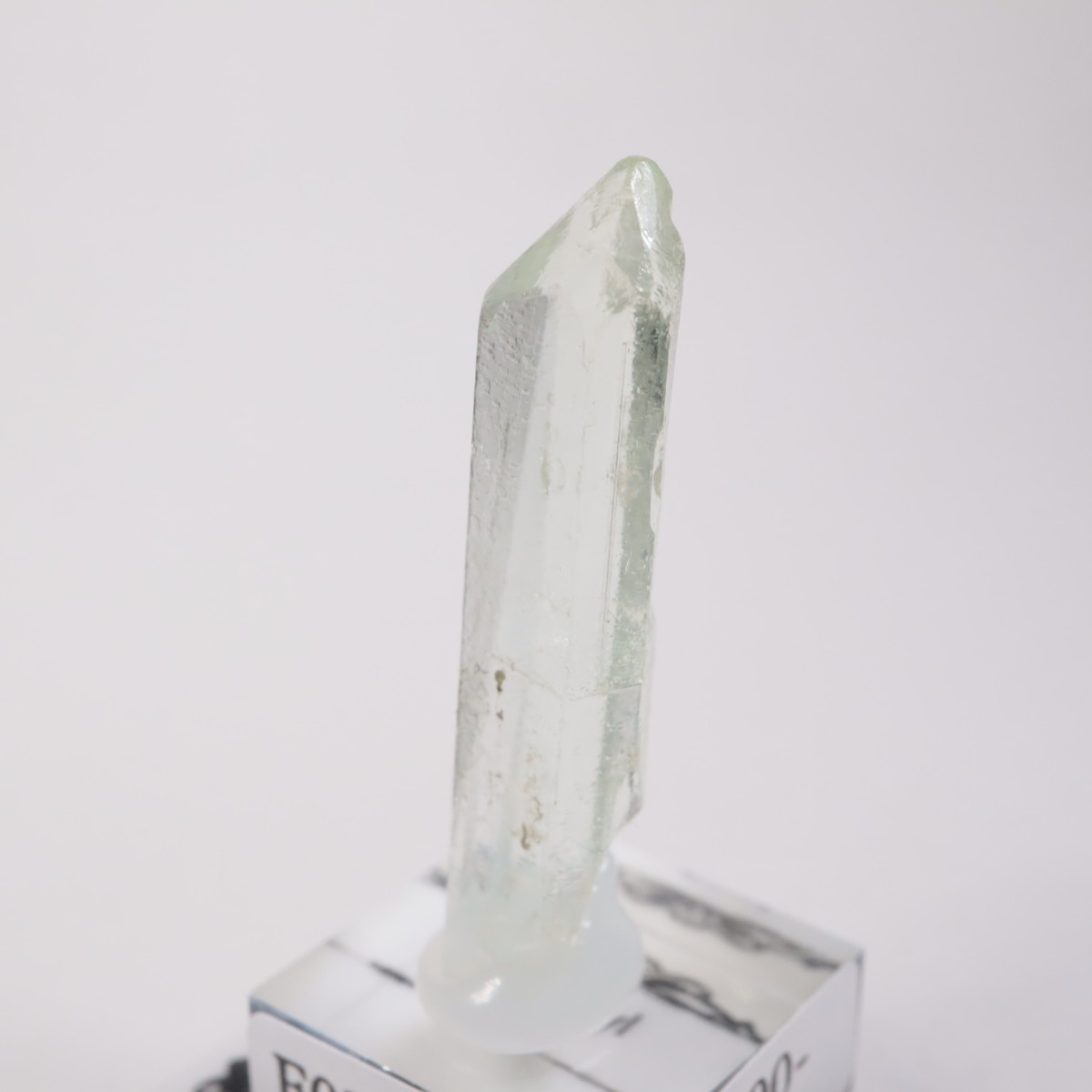 �֥饸�뻺���٥��