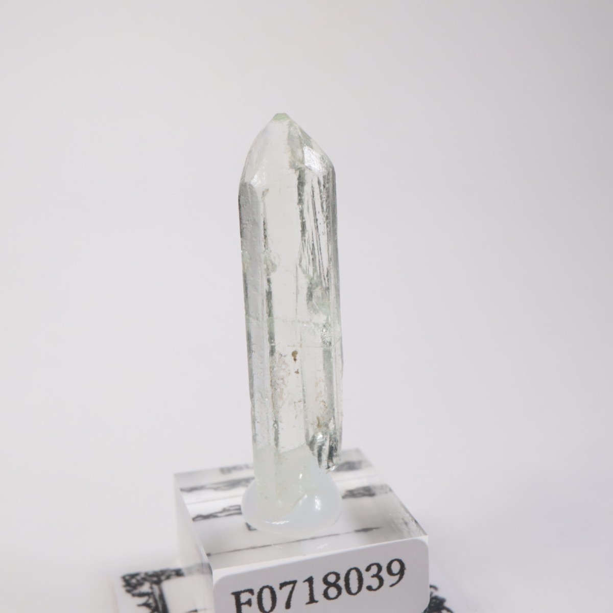 �֥饸�뻺���٥��