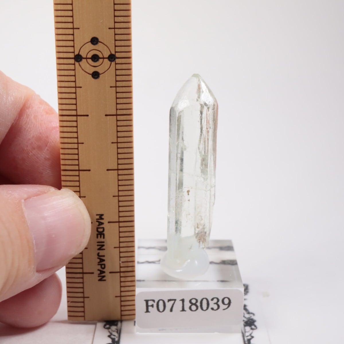 �֥饸�뻺���٥��