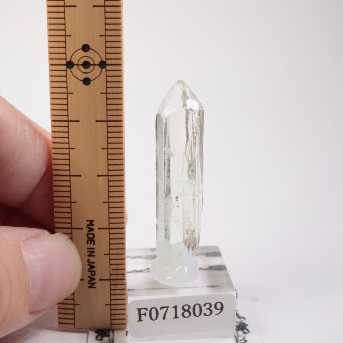 �֥饸�뻺���٥��