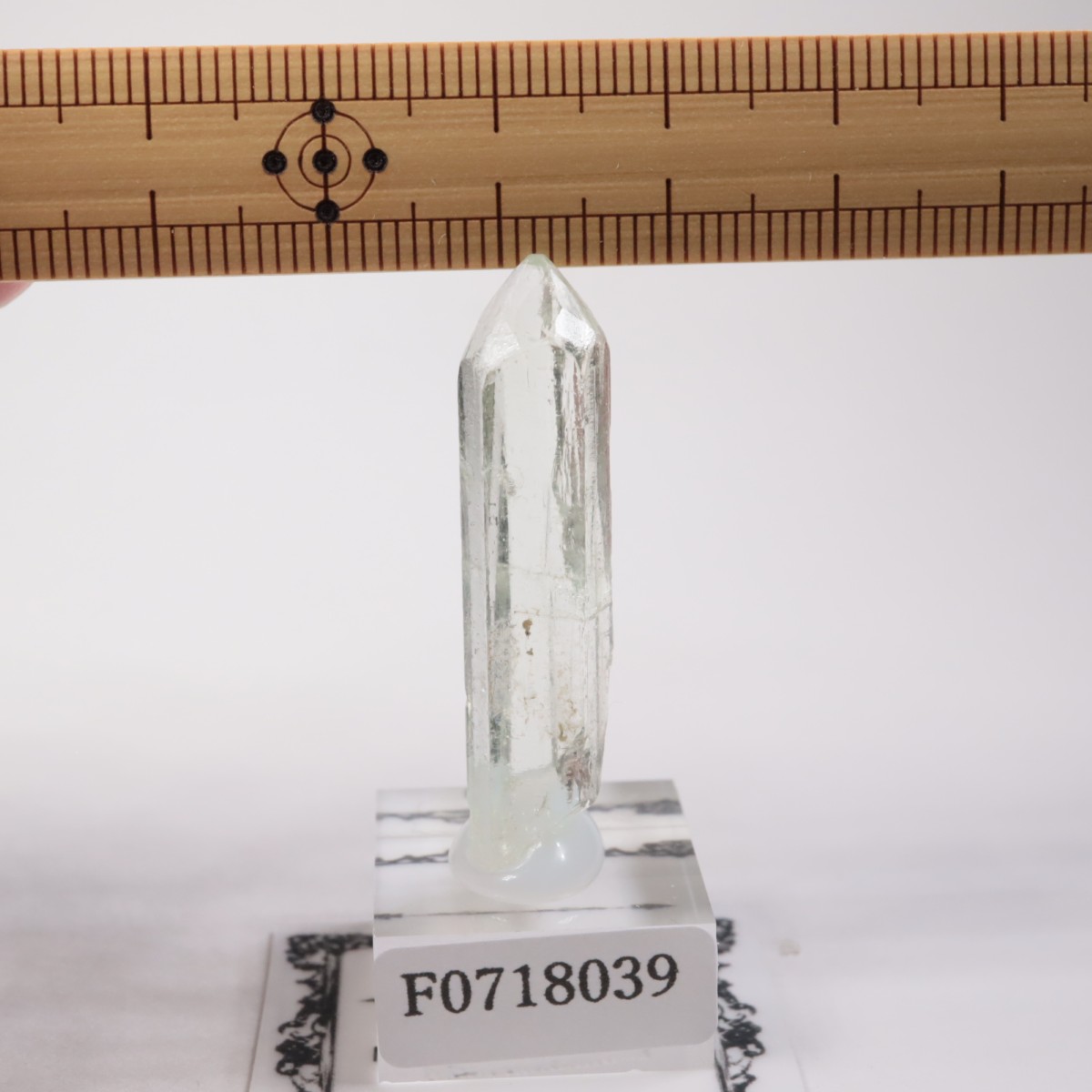 �֥饸�뻺���٥��